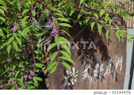 京都　紫式部墓所 25144470