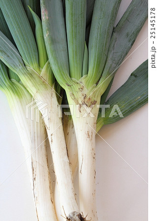 下仁田ねぎ 下仁田ねぎ 25145178