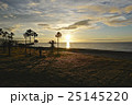 朝の光 25145220