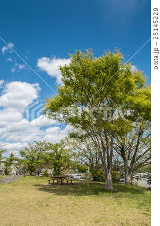 長者原SAの公園 25145229