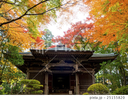 世界遺産　平泉　中尊寺の紅葉 25155820