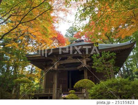 世界遺産　平泉　中尊寺の紅葉 25155823