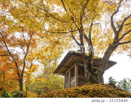 世界遺産 平泉 中尊寺の紅葉 世界遺産 平泉 中尊寺の紅葉 25155840