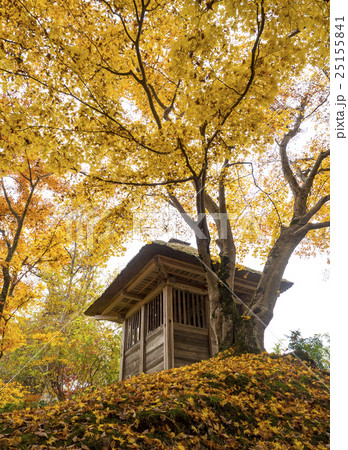 世界遺産 平泉 中尊寺の紅葉 世界遺産 平泉 中尊寺の紅葉 25155841