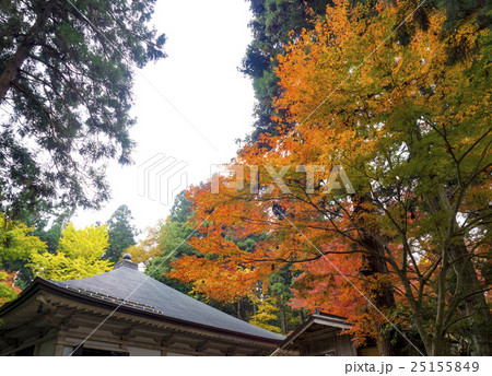 世界遺産 平泉 中尊寺の紅葉 世界遺産 平泉 中尊寺の紅葉 25155849