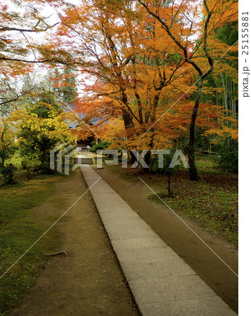 世界遺産　平泉　中尊寺の紅葉 25155881