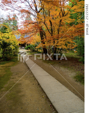 世界遺産　平泉　中尊寺の紅葉 25155882