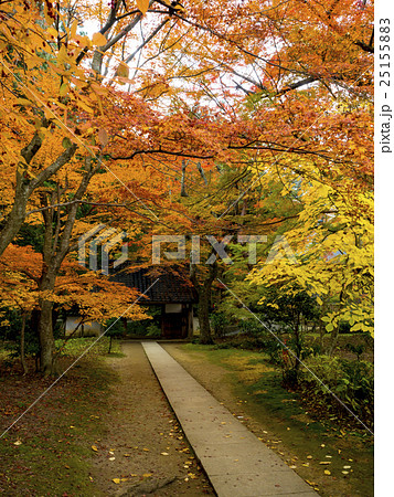 世界遺産 平泉 中尊寺の紅葉 世界遺産 平泉 中尊寺の紅葉 25155883