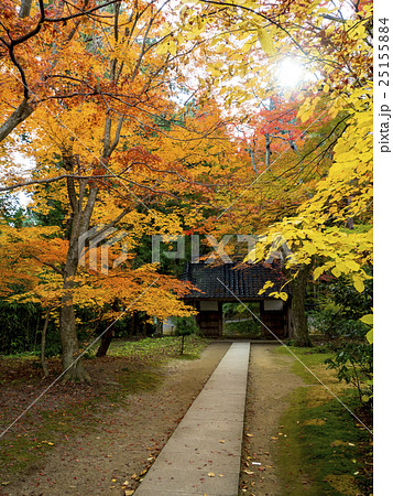 世界遺産　平泉　中尊寺の紅葉 25155884