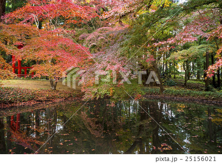 世界遺産　平泉　中尊寺の紅葉 25156021
