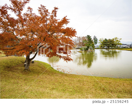 世界遺産　平泉　観自在王院跡　紅葉 25156245