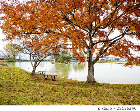 世界遺産 平泉 観自在王院跡 紅葉 世界遺産 平泉 観自在王院跡 紅葉 25156246