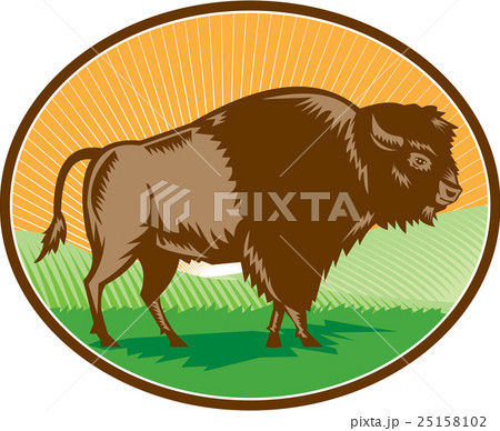 American Bison Oval Woodcut 25158102