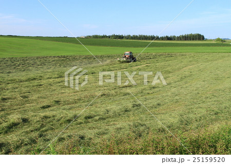 牧草畑の刈り込みと乾燥の風景と背景素材 牧草畑の刈り込みと乾燥の風景と背景素材 25159520