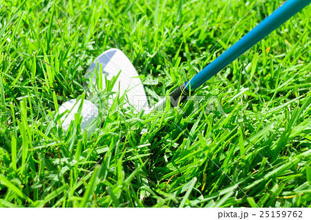 ゴルフ ラフ アイアン ゴルフ ラフ アイアン 25159762