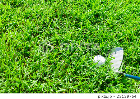 ゴルフ　ラフ　アイアン 25159764