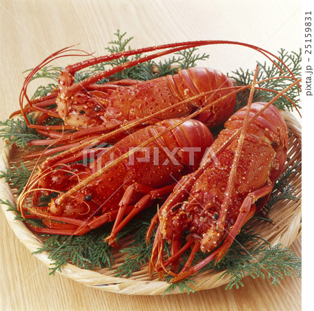 伊勢海老 伊勢海老 25159831