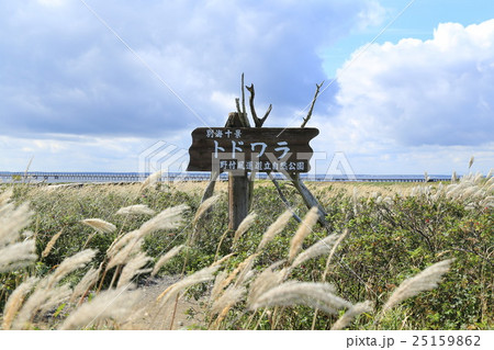 北海道野付半島のトドワラ原野 25159862