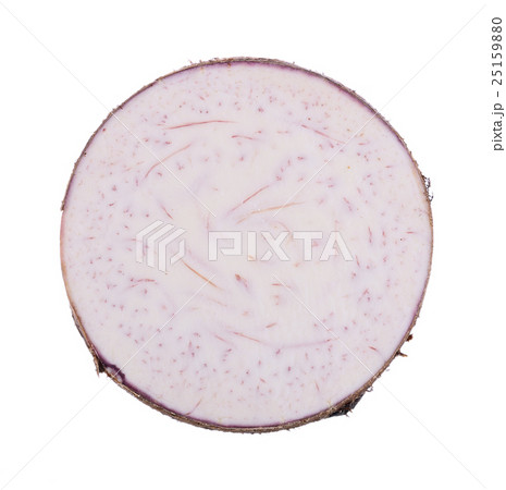 taro roots on white background 25159880