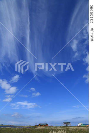 北海道野付半島のトドワラ原野 25159990