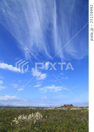 北海道野付半島のトドワラ原野 25159992