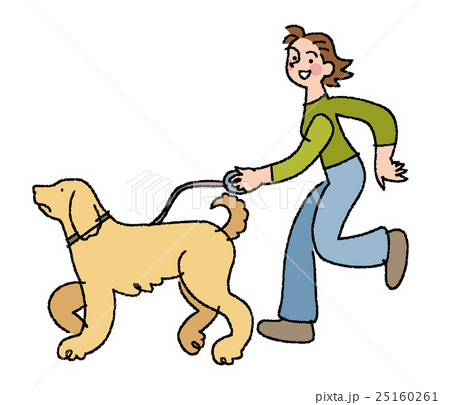 犬と散歩の女性 25160261