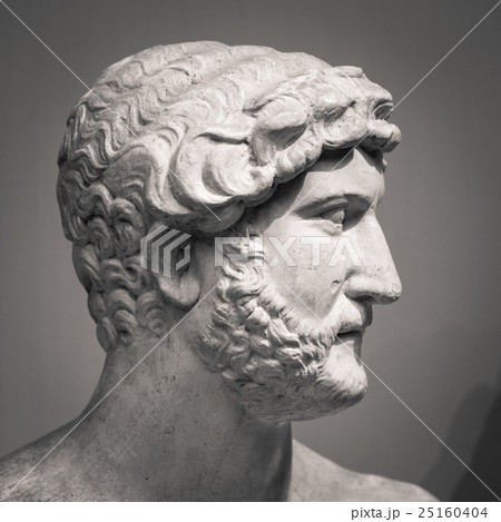 The ancient marble portrait bust 25160404