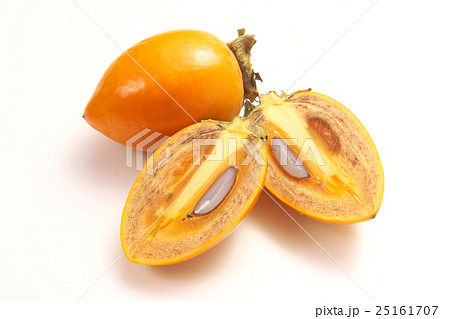 筆柿ー愛知県幸田町産 25161707