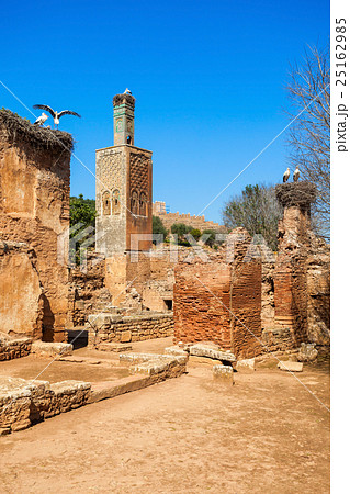 Chellah in Rabat Chellah in Rabat 25162985