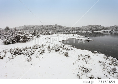 Tierra Fuego National Park 25163854