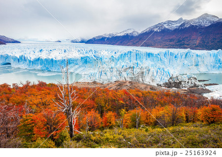 The Perito Moreno Glacier 25163924