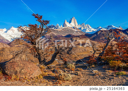 Fitz Roy mountain, Patagonia Fitz Roy mountain, Patagonia 25164363