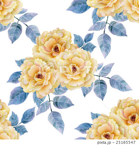 Watercolor seamless roses pattern. Watercolor seamless roses pattern. 25165547