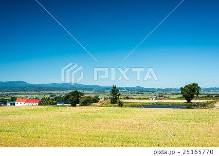 滝川市 江別乙 滝川市 江別乙 25165770