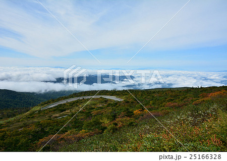 蔵王（エコーライン）　山形県 25166328