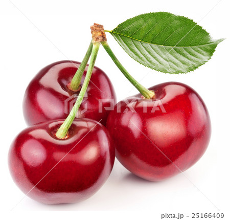 food and drink food and drink 25166409