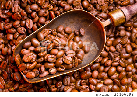 food and drink 25166998