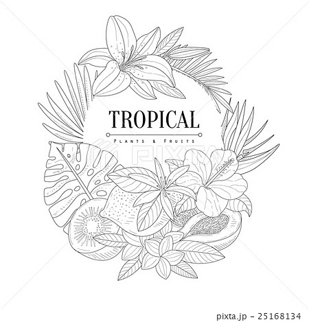 Topical Fruits And Plants Logo Hand Drawnのイラスト素材