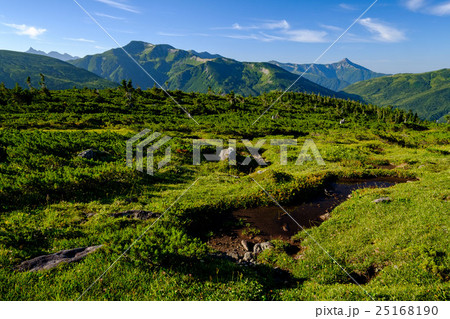 アルプス庭園 25168190