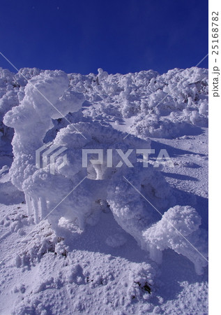 雪の山 雪山 ゆきやま 25168782