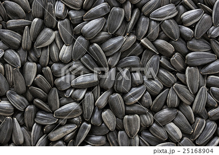 Black sunflower seeds. For texture or background. Black sunflower seeds. For texture or background. 25168904