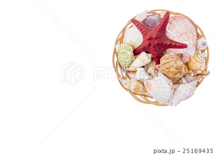 Set of seashells on wicker plate 25169435