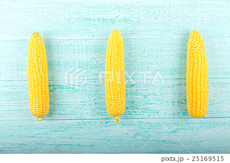 Corn on a blue background Corn on a blue background 25169515