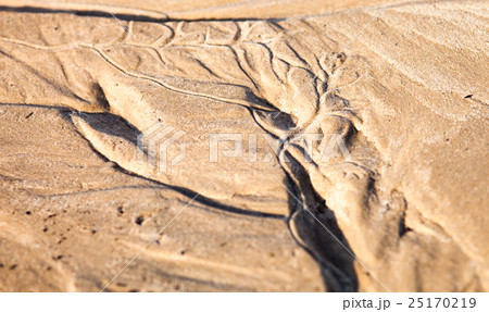 Sand surface with the relief formed by water Sand surface with the relief formed by water 25170219
