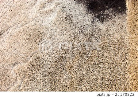 Sand surface after the rain 25170222