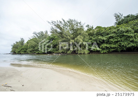 Black Pot Beach,Kauai,Hawaii,ブラック・ポットビーチ、カウアイ島、ハワイ Black Pot Beach,Kauai,Hawaii,ブラック・ポットビーチ、カウアイ島、ハワイ 25173975