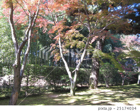 京都の風景 25174034