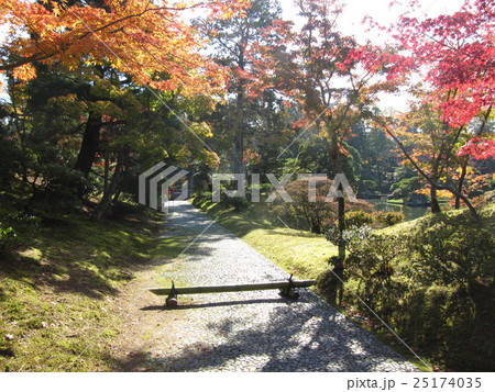 京都の風景 京都の風景 25174035