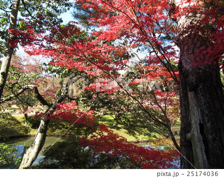 京都の風景 京都の風景 25174036