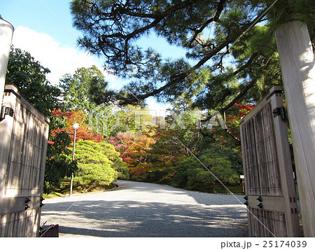 京都の風景 京都の風景 25174039